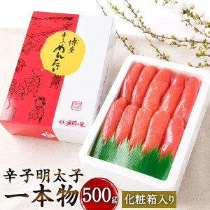 yӂ邳Ɣ[Łzhqq { 500g ϔ TCY q ߂񂽂 ܂ ̍ т̂   O Ⓚ  yVX[p[SALE 9J