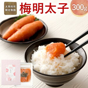 yӂ邳Ɣ[Łzɕ{s ~q 300g hqq ߂񂽂 Ђ낵傤 IWi ~ q 炱 p Mtg 蕨  Ⓚ  yVX[p[SALE 9J