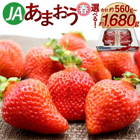 【ふるさと納税】＜選べる 容量＞【予約】博多あまおう（春） 2/4/6パック 合計約560g～約1680g 【2026年2月上旬～4月下旬発送予定】 1パック約280g あまおう 福岡県産 旬 フルーツ 果物 いちご イチゴ 苺 九州産 国産 冷蔵配送 9000円 ～ 15000円 9000円 ～ 1万5000円