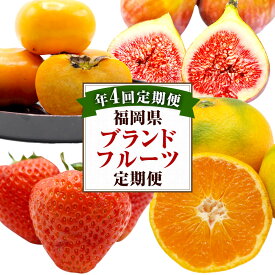 【ふるさと納税】【4回定期便】福岡県ブランドフルーツ定期便 いちご/博多あまおう 約280g×4パック いちじく/博多とよみつひめ 約300g×4パック みかん/早味かん 約3kg 柿/秋王 3Lサイズ4玉（約1.2kg） フルーツ 果物 定期便 国産 送料無料