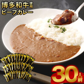 【ふるさと納税】【福岡県産 博多和牛使用】博多和牛じっくり煮込んだ ビーフカレー レトルト 30人前 160g×30袋 合計4800g 4.8kg カレー レトルトカレー レトルト食品 備蓄 常備食 保存食 お取り寄せ 常温保存 送料無料