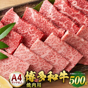 yӂ邳Ɣ[Łza ēp 500g×1 A4ȏ Y BY Y јa  a BBQ o[xL[   O Ⓚ  yVX[p[SALE 9J