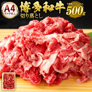 yӂ邳Ɣ[Łza ؂藎Ƃ 500g×1 A4ȏ Y BY Y јa  a ؗ   O Ⓚ 
