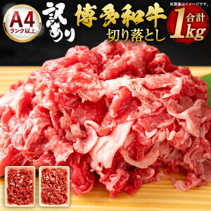 yӂ邳Ɣ[Łzyʌzy󂠂za ؂藎Ƃ v1000g 500g×2pbN A4Nȏ  ̓o 1kg Y BY Y јa  a ؗ  