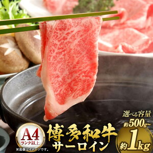 yӂ邳Ɣ[ŁzIׂeʁyIʁEA4Nȏza T[C Ԃ Ăp v1kg ܂ 500g 1pbN500g Y BY Y јa  