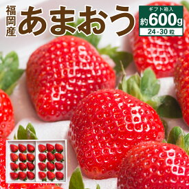 【ふるさと納税】福岡産 あまおう 24-30粒 【2025年12月上旬～2026年3月下旬発送予定】約600g ギフト箱 予約 苺 いちご イチゴ あまおう 果物 くだもの フルーツ 大粒 福岡限定生産 冷蔵配送 送料無料