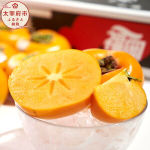 yӂ邳Ɣ[Łz\񁄕Y uh`EH 3kg 8-12 y2025N10{`11{\z Ê` ` JL  ʕ  t[c fU[g XC[c ①z  yV