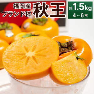 yӂ邳Ɣ[Łz\񁄕Yuh`EH 1.5kg 4-6 y2025N10{`11{\z Ê` ` JL  ʕ  t[c fU[g XC[c ①z  yVX