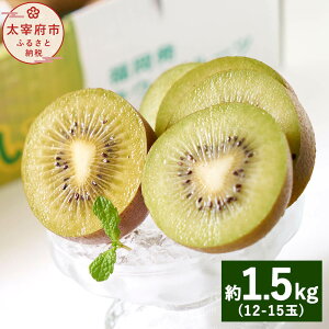 yӂ邳Ɣ[Łz\񁄕Y uhLEC Â 1.5kg 12-15 y2025N10{`12{\z LECt[c ʕ  t[c fU[g XC[c  yVX[