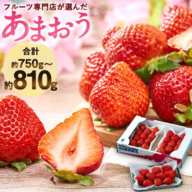 【ふるさと納税】福岡産【春】あまおう 3パック 合計約750g～810g 【2026年2月上旬～3月下旬発送予定】 フルーツ専門店が選んだ 1パックあたり約250g～約270g 予約 いちご 苺 果物 フルーツ 九州産 福岡県産 冷蔵 送料無料