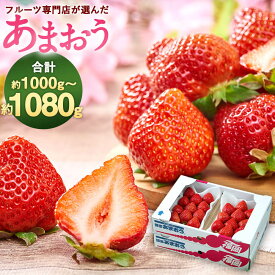 【ふるさと納税】＜選べる容量＞福岡産【春】あまおう 6パック 合計約1500g～1620g または 4パック 合計約1000g～1080g 【2026年2月上旬～3月下旬発送予定】フルーツ専門店が選んだ 1パックあたり約250g～約270g 予約 いちご 果物 フルーツ 九州産 福岡県産 冷蔵 送料無料