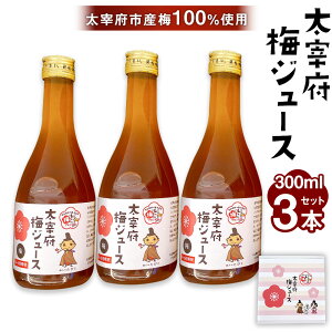 【ふるさと納税】太宰府市産梅ジュース(スタンダード)300ml×3本 セット 箱入り 太宰府市産梅100%使用 手作り ジュース 梅プロジェクト 梅ドリンク うめ ドリンク 飲み物 福岡県産 国産 福岡