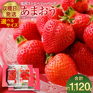 yӂ邳Ɣ[ŁzIׂTCY ̉l ܂ 280g×4pbN v1120g ʏ or  y2026N1{`4{\z  C`S  E傫͂܂ ̂ t