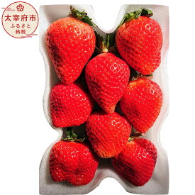 【ふるさと納税】＜予約＞あまおうボリュームセット 6パック 【2026年2月上旬～4月上旬発送予定】 合計約1500～1620g 約250～270g×6パック G規格 グランデ 1kg以上 あまおう いちご フルーツ 果物 苺 福岡県産 九州産 国産 冷蔵配送 送料無料