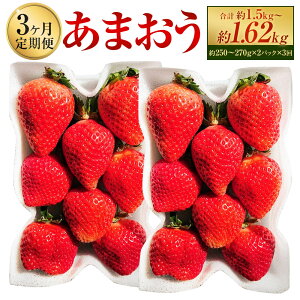 yӂ邳Ɣ[Łzy3ցz܂ 1񂠂2pbN 1pbN250`270g 1 3 v6pbNi2pbN×3j  C`S   ʕ ʎ t[c ① Y Y B