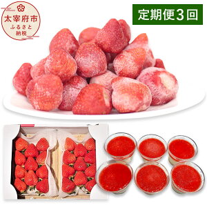 yӂ邳Ɣ[Łz\y3ցz܂ґZbg No2y3/5/7zy2026N3{`7{\z܂DX 250`270g×2 v500`540g Ⓚ܂ 1.5kg v~A܂