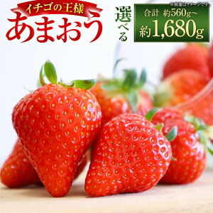 yӂ邳Ɣ[ŁzIׂeʁY ܂ 280g×2`6pbN v560g`1.68kgy2026N1{`4{\z C`S  ܂ t[c ʕ Y BY Y 