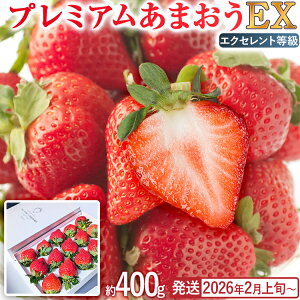 yӂ邳Ɣ[Łzv~A ܂ EXiϔj t[c ʕ ܂ 400g×1pbN   C`S ϔ y2026N2{`2026N4{z