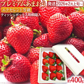 【ふるさと納税】プレミアムあまおうEX (ティッシュボックス用特別仕様の桐箱入り）いちご フルーツ 果物 あまおう 約400g×1パック 福岡 苺 イチゴ 桐箱 【発送時期2026年2月上旬～2026年4月上旬】