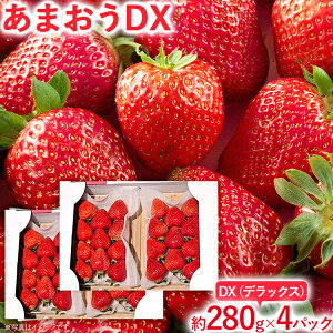 yӂ邳Ɣ[Łz y2026N2{菇z ܂DX 280g×2pbN 280g×4pbN ZbgIׂ   t[c ʕ    B O 
