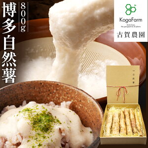 yӂ邳Ɣ[ŁzIׂ R 400g 800g N NI h{ R R Ƃ S S lolo т̂ Ƃ낲 Ƃ낻 Ƃ닼 ӗg ݂ 蕨 퉷 2025