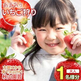 【ふるさと納税】「いちご狩りチケット」（大人1名様分、60分）いちご(あまおう)食べ放題チケット 苺 イチゴ チケット 食べ放題 1名分 秋山園芸 いちご狩り