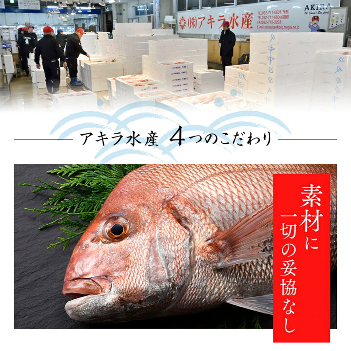 楽天市場 ふるさと納税 鯛茶漬けセット6食 玄界灘の天然真鯛 2種類 唐辛子風味醤油だれ 3食 特製ごまだれ 3食 天然真鯛 鯛入り 鯛茶漬け お茶漬け ギフト 贈り物 送料無料 福岡県古賀市