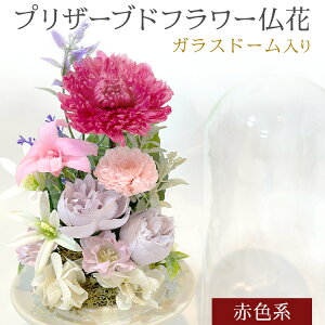 yӂ邳Ɣ[ŁzvU[uht[ 27cm12cm ԐFn Fn Fn FIׂ    r ފ ~   @   蕨  B 