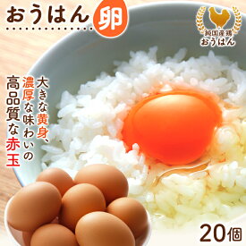 【ふるさと納税】純国産鶏の卵 おうはん卵 20個入り 卵 生卵 たまご タマゴ 玉子 赤玉 青柳たまご 福岡 送料無料