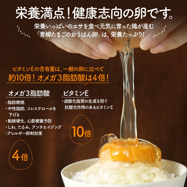 6500円 2022モデル ふるさと納税 うちのたまご たまごかけご飯セット 福岡県飯塚市 6500円 2022モデル ふるさと納税 うちのたまご たまごかけご飯セット 福岡県飯塚市