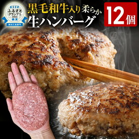 【ふるさと納税】九州産黒毛和牛入 生ハンバーグ 量を選べる 1つ120g 20個入 12個入 肉汁たっぷり 黒毛和牛 九州産 牛豚合挽 ハンバーグ 柔らかい 肉 牛 ジューシー 夕飯 おかず 小分け 贅沢 グルメ 九州 古賀市