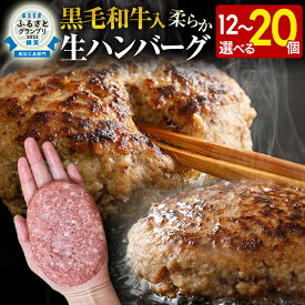 【ふるさと納税】九州産黒毛和牛入 生ハンバーグ 量を選べる 1つ120g 20個入 12個入 肉汁たっぷり 黒毛和牛 九州産 牛豚合挽 ハンバーグ 柔らかい 肉 牛 ジューシー 夕飯 おかず 小分け 贅沢 グルメ 九州 古賀市