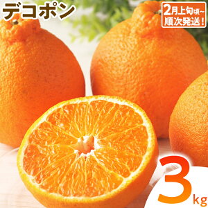 yӂ邳Ɣ[ŁzԌ fR| t[c ʕ  Iׂ 1kg 3kg k Â Z W[V[ Yn fU[g  IW   B O  y2{