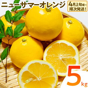 yӂ邳Ɣ[ŁzԌ j[T}[IW  IW t[c ʕ  Iׂ 1.5kg 5kg k Â Z W[V[ Yn fU[g    B O 