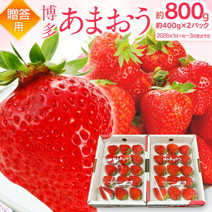 yӂ邳Ɣ[Łzs\ ܂ v800g 400g×2pbNi1pbNA9ʁ`18ʁj Y B C`S   ʕ  t[c y2026N1{`3\z