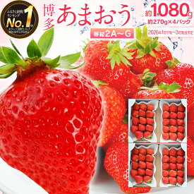 【ふるさと納税】先行予約 あまおう 合計約1,080g 約270g×4パック 楽天ランキング1位獲得 福岡県産 九州 イチゴ いちご 苺 果物 くだもの フルーツ 送料無料【2026年1月下旬～3月順次発送予定】