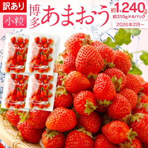 yӂ邳Ɣ[Łz󂠂 ܂ v1240g 310g×4pbN TCY ƒp Y B C`S   ʕ  t[c  ӂ邳Ɣ[ 󂠂 KiO 