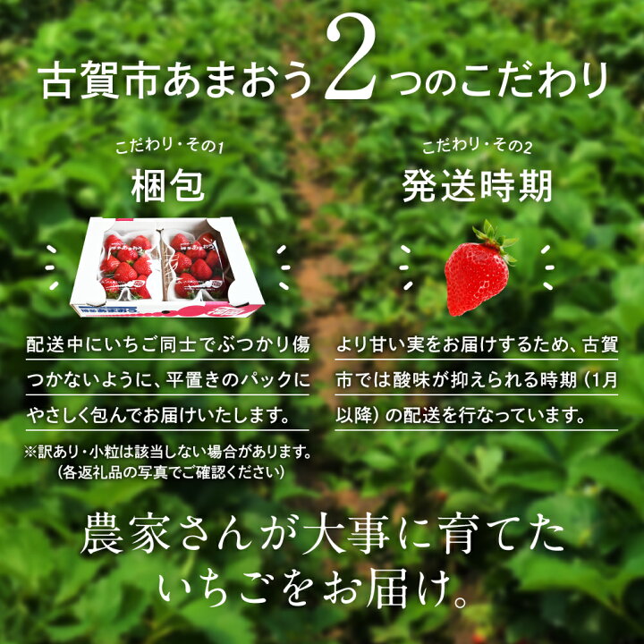 楽天市場】【ふるさと納税】先行予約 あまおう 合計約800g 約400g×2パック(1パックあたり、9玉〜18玉) 福岡県産 九州 イチゴ いちご 苺 果物 くだもの フルーツ 送料無料【2023年1月〜3月末順次発送】 : 福岡県古賀市 楽天市場】【ふるさと納税】先行予約 あまおう 合計約800g 約400g×2パック(1パックあたり、9玉〜18玉) 福岡県産 九州 イチゴ いちご 苺 果物 くだもの フルーツ 送料無料【2023年1月〜3月末順次発送】 : 福岡県古賀市