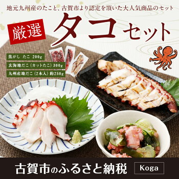 【ふるさと納税】彩りたこづくしセット
