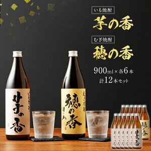 yӂ邳Ɣ[Łz̍E̍Zbg 900ml×e6{ v12{ Ē Ē 12{Zbg AR[x25x ̍ ̍  Ē  