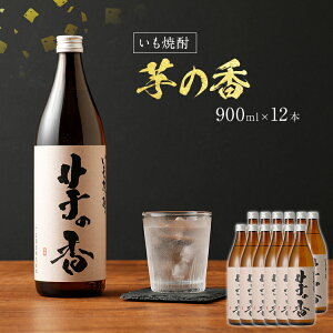 yӂ邳Ɣ[Łz̍ 900ml×12{ 900ml 12{Zbg AR[x25x  Ē  