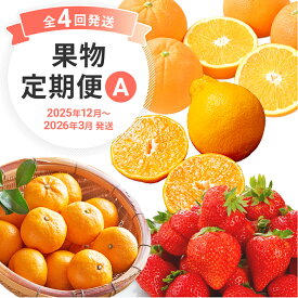 【ふるさと納税】定期便 果物定期便A 4回発送 みかん 山見阪ネーブル デコポン 博多あまおう 定期発送 果物 くだもの フルーツ 柑橘 イチゴ 送料無料 【2025年12月〜2026年3月発送】