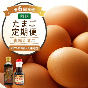 yӂ邳Ɣ[Łz܂O 6񔭑îݏݖtE܂20j20×6 v120  6  ͂ ܂  y2026N1`6̌v6񂨓͂z