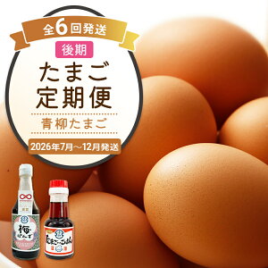 【ふるさと納税】たまご後期定期便 6回発送(初回のみ醤油付き・たまご20個)20個×6回 合計120個 定期便 6ヶ月 卵 おうはん卵 青柳たまご 送料無料 【2026年7月〜12月の計6回お届け】