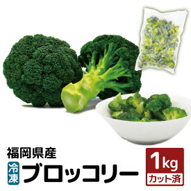 【ふるさと納税】【福岡県産】 冷凍 ブロッコリー 1kg （1kg×1袋）冷凍ブロッコリー 冷凍野菜 冷凍やさい 冷凍カット野菜 カット野菜 野菜 やさい 冷凍 送料無料 [F2256]