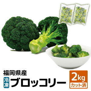 yӂ邳Ɣ[ŁzyYz Ⓚ ubR[ 2kg i1kg×2܁jⓀubR[ Ⓚ Ⓚ₳ ⓀJbg Jbg  ₳ Ⓚ  y2026N3蔭z [F2257a]