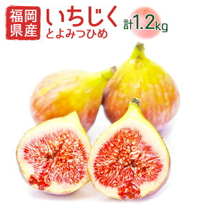 yӂ邳Ɣ[ŁzY Ƃ݂Ђ 300g×4pbN v1.2kg C`WN  ԉ t[c  ʕ ① Y  y2025N8菇z [F2223a]