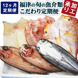 【ふるさと納税】＜加工承り＞【年12回毎月定期便】 福津の旬の魚介類こだわり定期便 魚 魚介類 牡蠣 イカ サザエ 真鯛 干物 セット 定期便 地魚 コウイカ アオリイカ 定期便 新鮮 冷蔵 冷凍 福津市産 送料無料 [F6460]