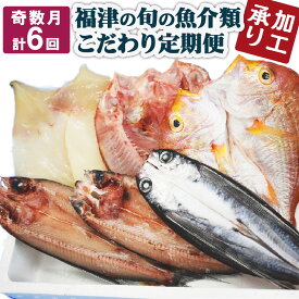 【ふるさと納税】＜加工承り＞ 【年6回奇数月定期便】福津の旬の魚介類こだわり定期便 魚 魚介類 牡蠣 イカ サザエ 真鯛 干物 セット 地魚 コウイカ アオリイカ 定期便 新鮮 冷蔵 冷凍 福津市産 送料無料 [F6480]