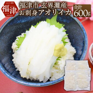 yӂ邳Ɣ[Łz͐HׂȃCJII hgAICJ 600g (50g×12pbN) CJ G א؂ Jbgς pbN  ^pbN CN  ؂g hg Jpb` CN Y 